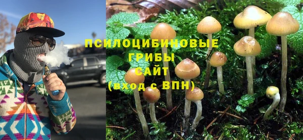 гидропоника Нефтекумск