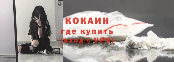 стафф Новокубанск