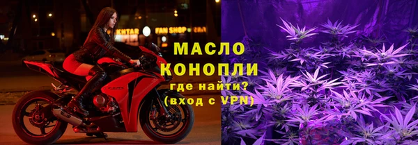 мдпв Бородино