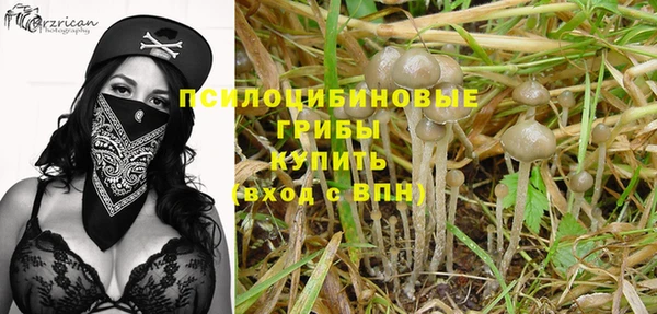 mdpv Нея