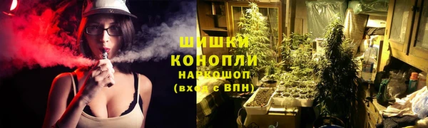 СК Новодвинск