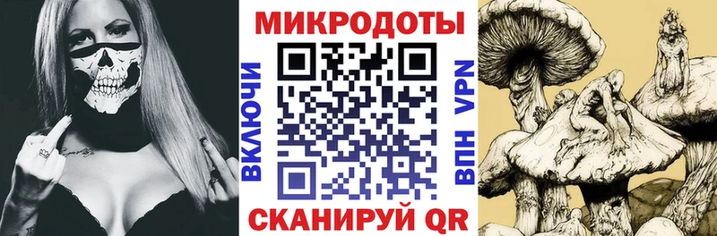 купить   Борзя  Галлюциногенные грибы Magic Shrooms 