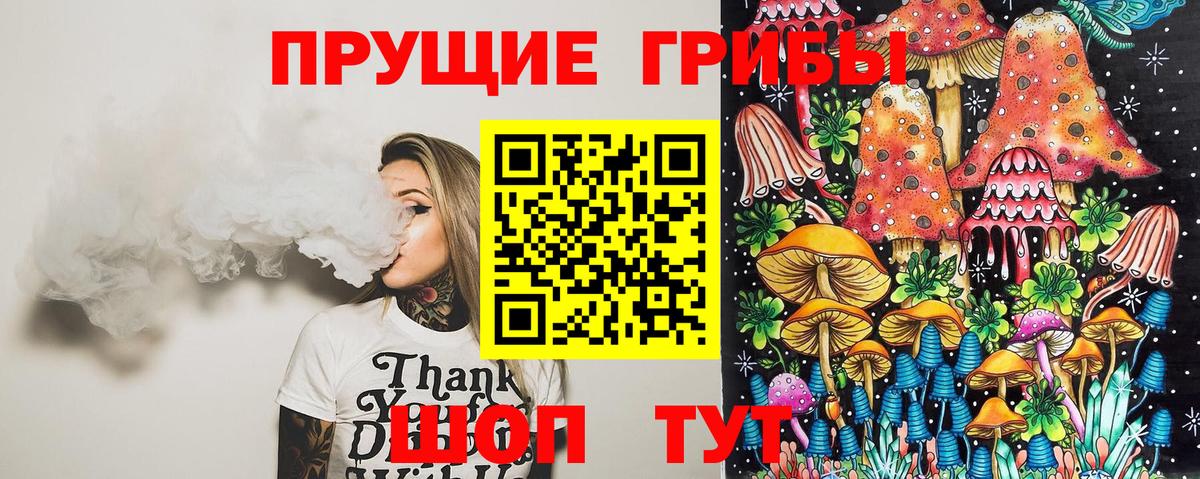 Галлюциногенные грибы Cubensis  Вход с VPN  Борзя 