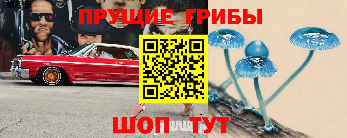 Псилоцибиновые грибы мухоморы Борзя