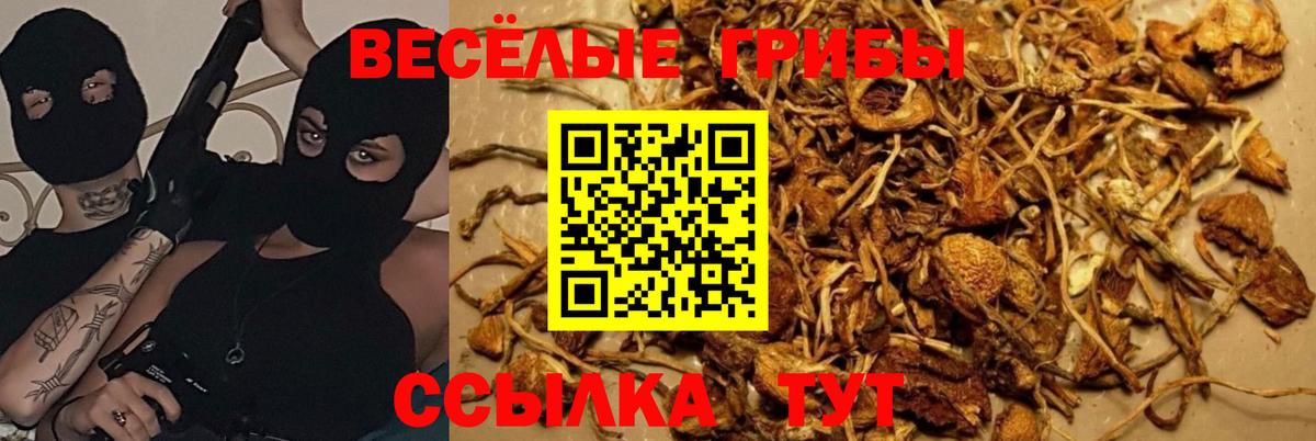 Псилоцибиновые грибы Magic Shrooms Борзя