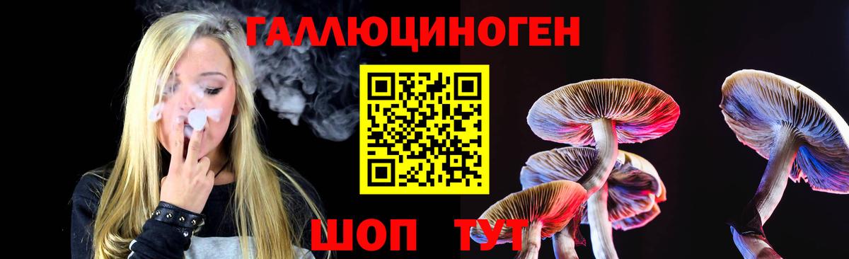 Псилоцибиновые грибы мицелий  Борзя  Псилоцибиновые грибы MAGIC MUSHROOMS 